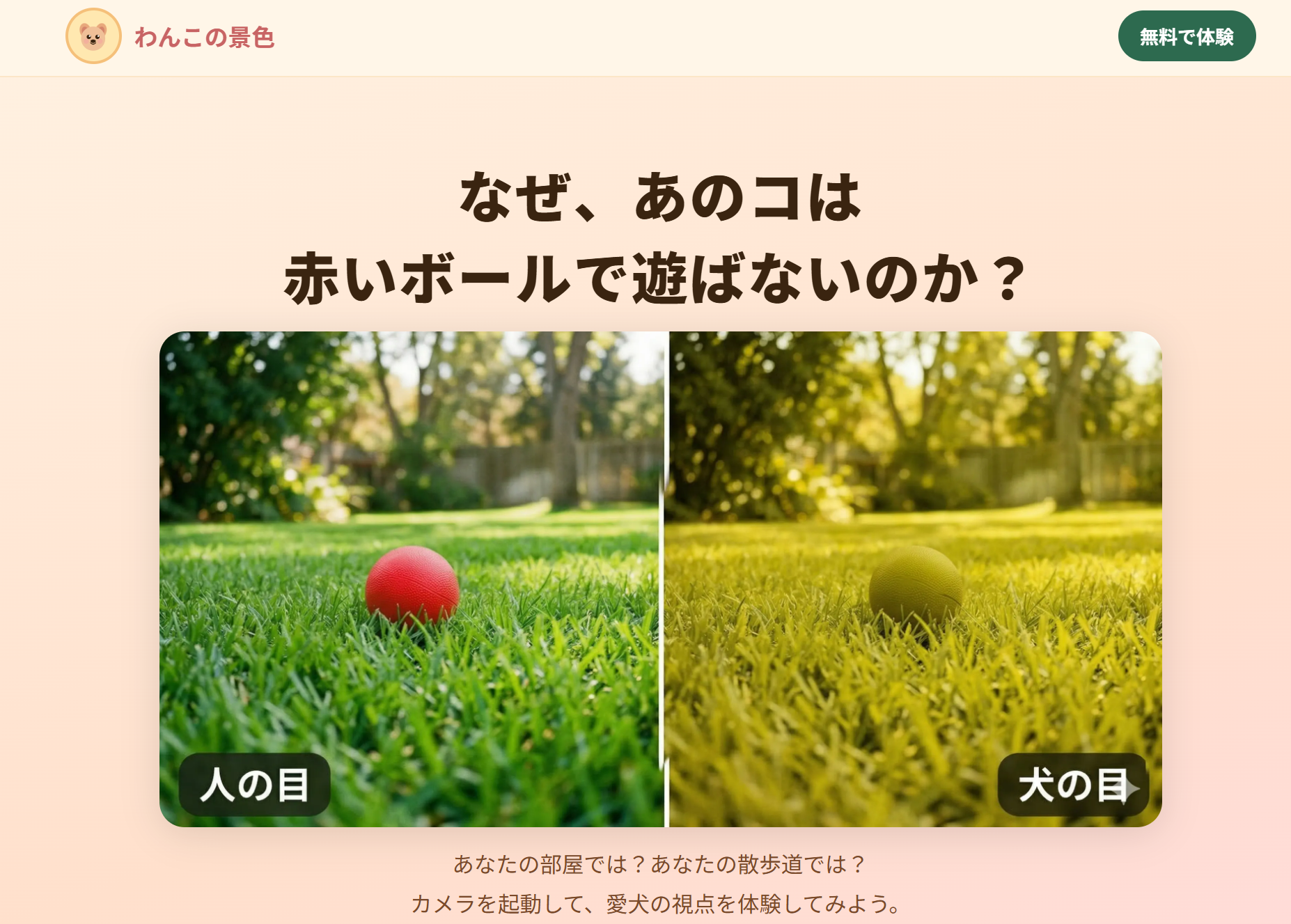 わんこの景色