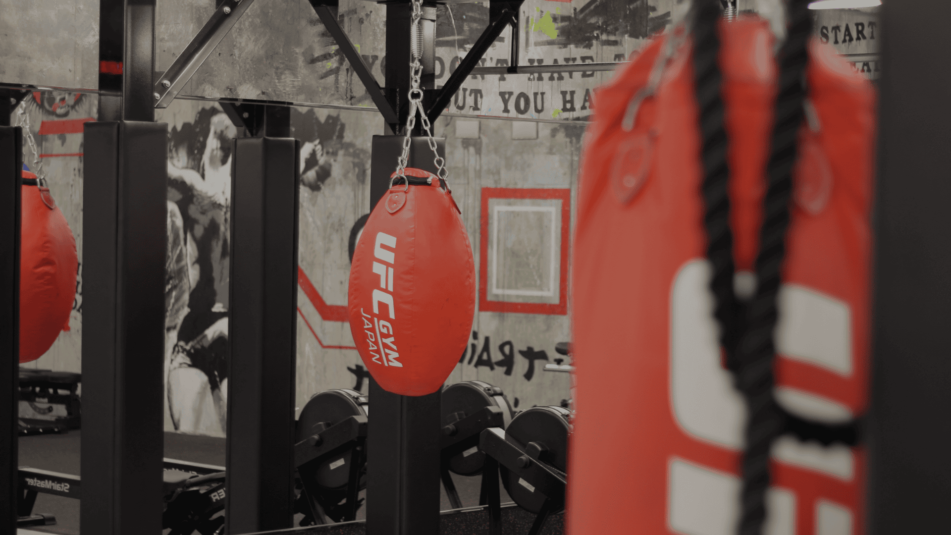 UFC GYM フランチャイズキービジュアル