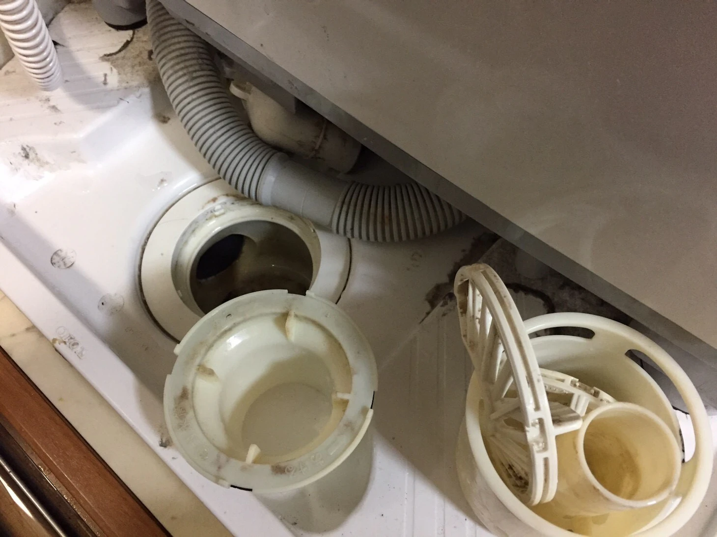 【施工事例】東京都調布市｜洗濯機の排水つまり・水溢れをスピード解決！原因と予防策も解説