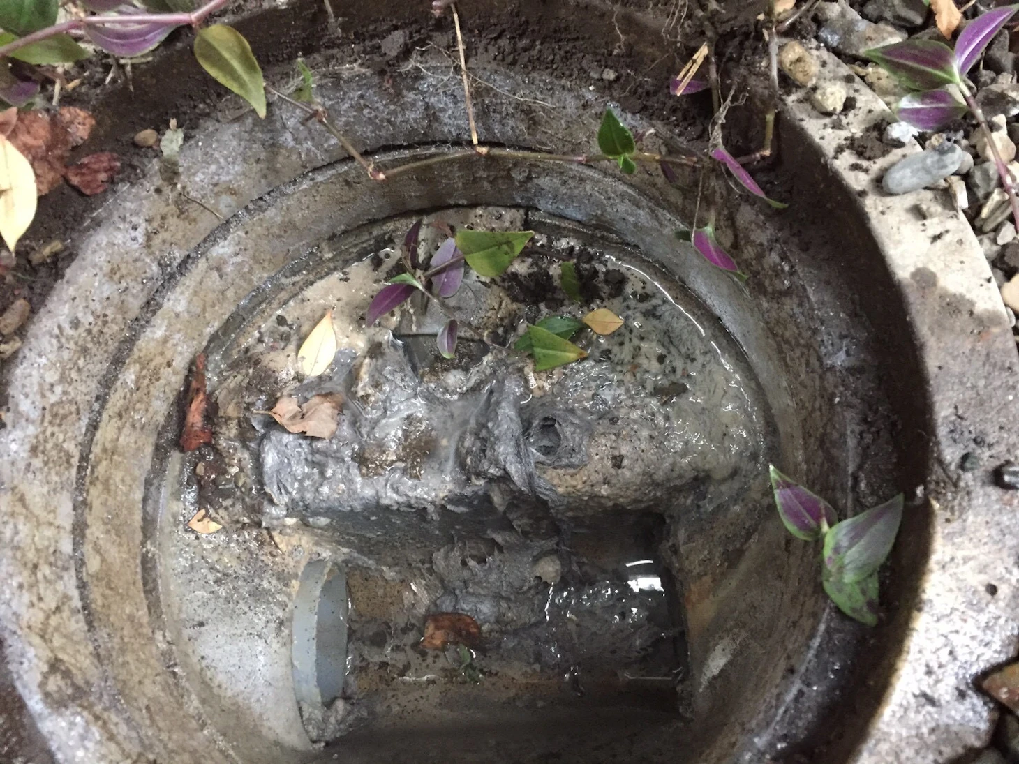 東京都世田谷区のお客様より、 「お風呂の排水口から水が溢れて流れない！」 とのご相談をいただき、すぐに駆けつけました！🏃‍♂️💨