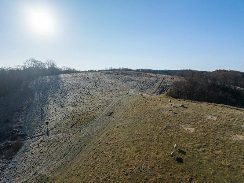 ゆきんこファーム全景