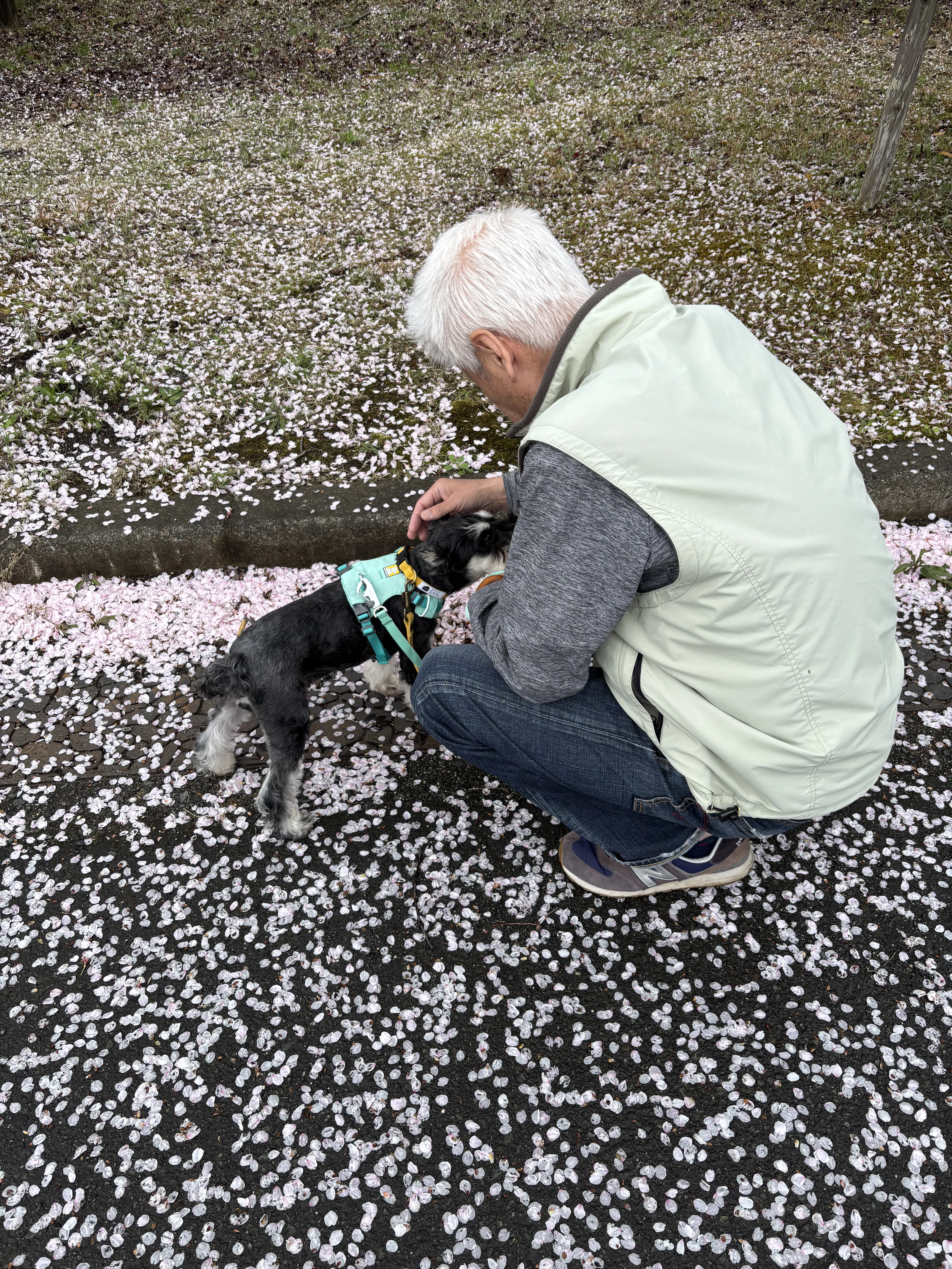 2026年　４月のオープン日🌸