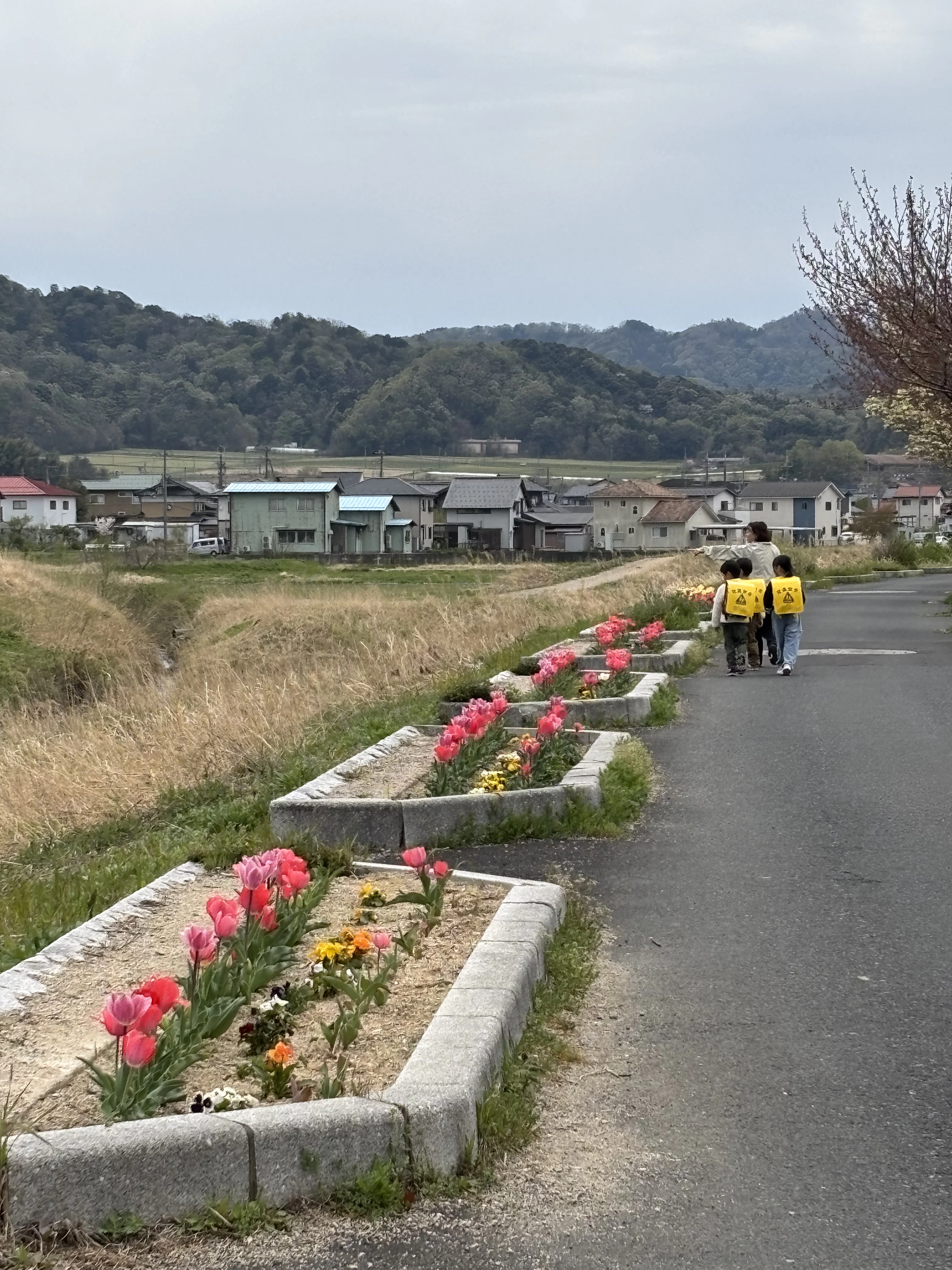 つづき（絵本セラピー〜未来の始めかた〜）