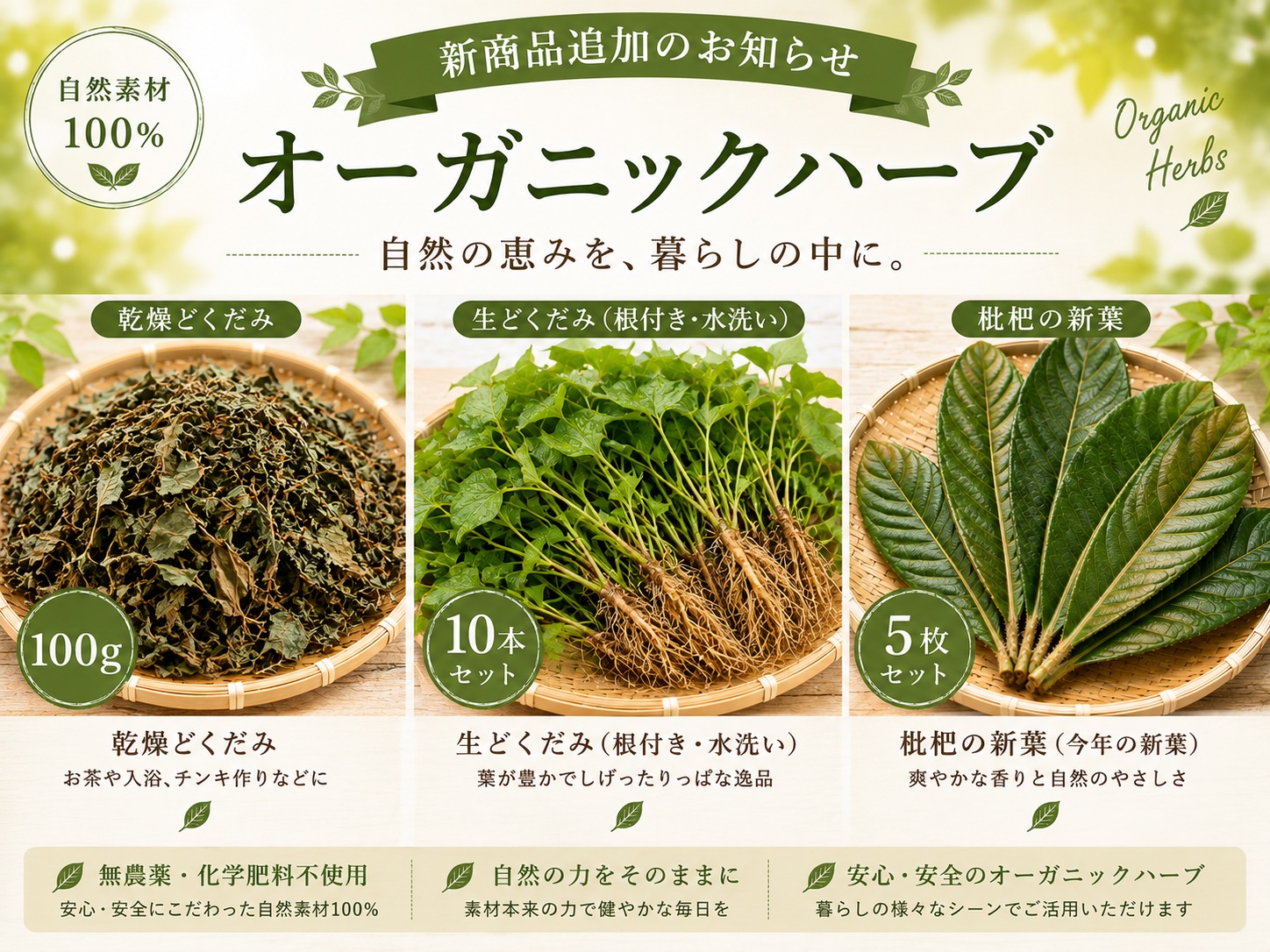 【新商品追加のお知らせ】自然の恵みを暮らしの中に。100%自然素材の「オーガニックハーブ」を販売開始！