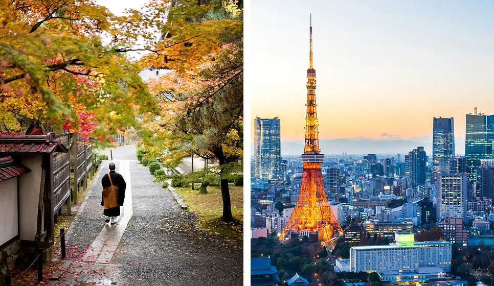 Why Japan