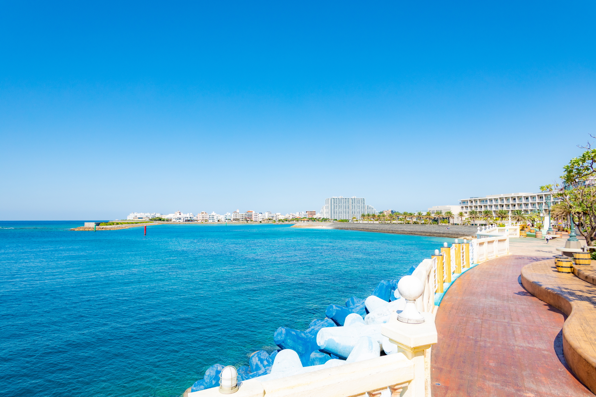 沖縄の海が見えるオフィスでプログラミングをするエンジニア