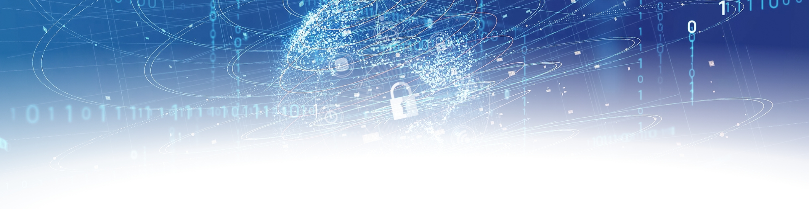 脆弱性診断サービス(Web APP/プラットフォーム)