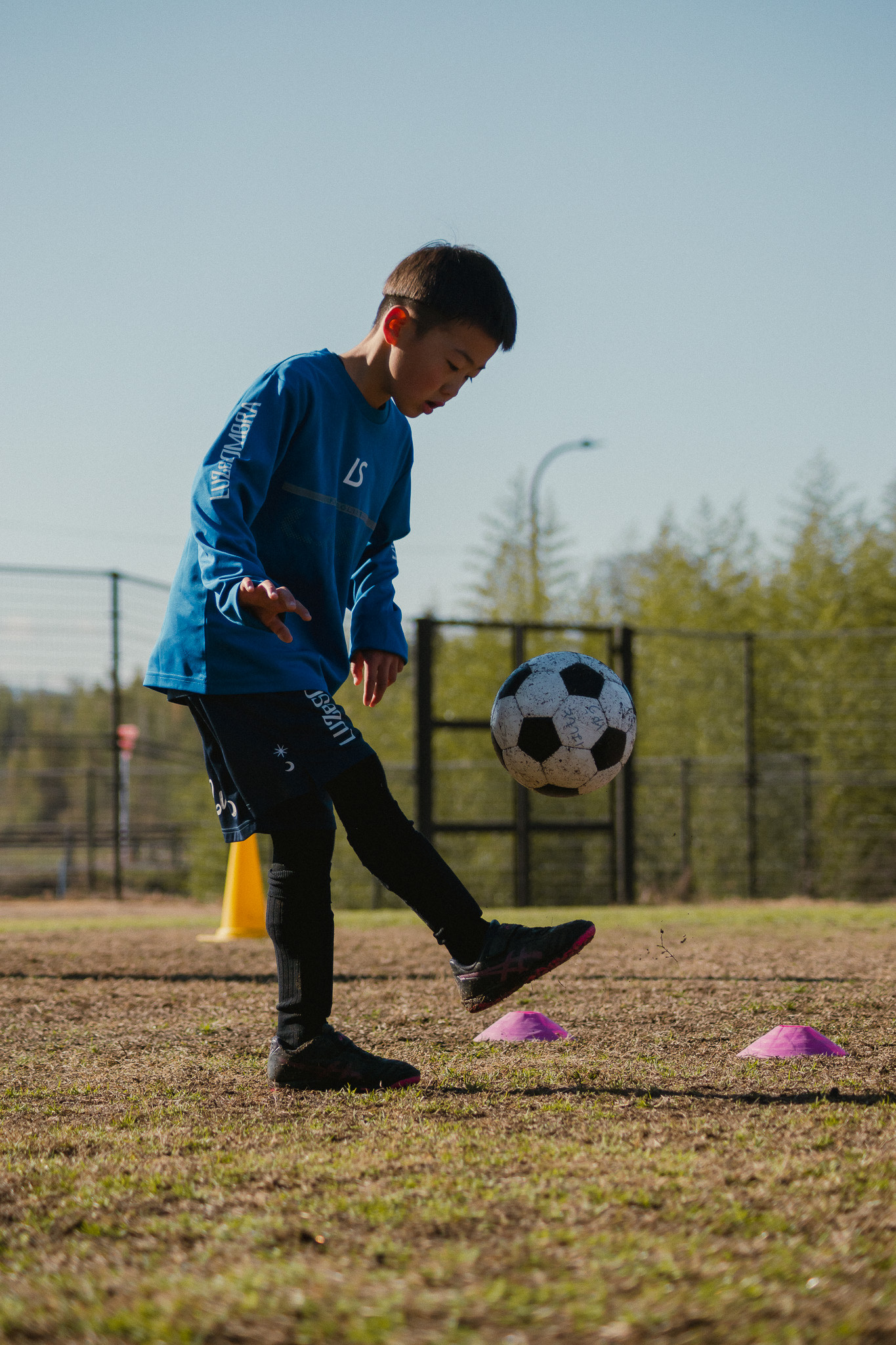 キャンプでは何を学びますか？