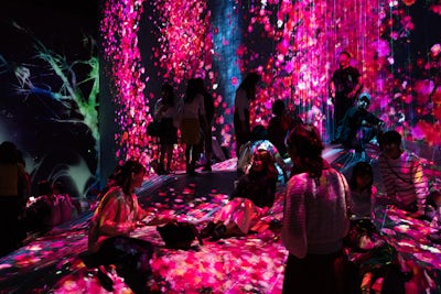 [รีวิว] teamLab Borderless Odaiba เวทมนตร์แสงสีที่จับต้องได้