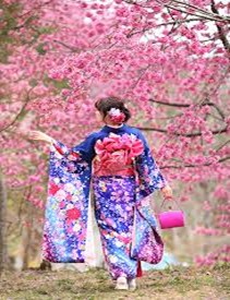 イメージ写真