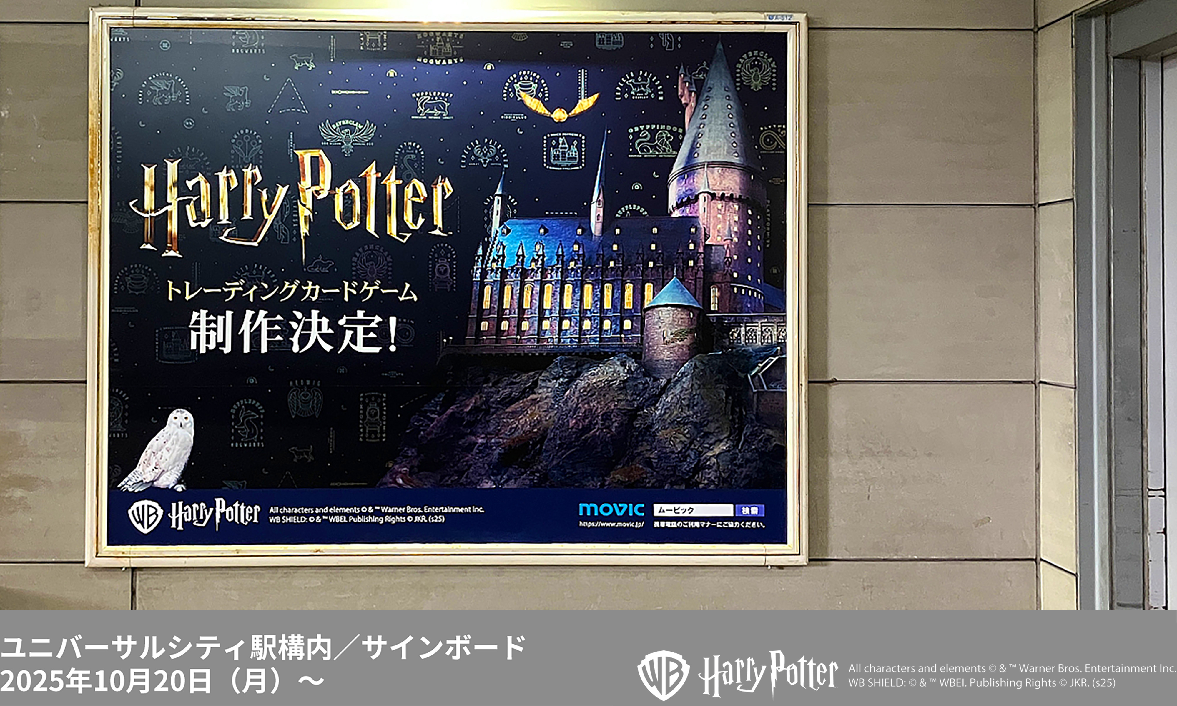 新品　未開封　カード　BOX　ハリーポッター カードゲーム　ブースター トレーディングカードゲーム ハリー・ポッター日本語版