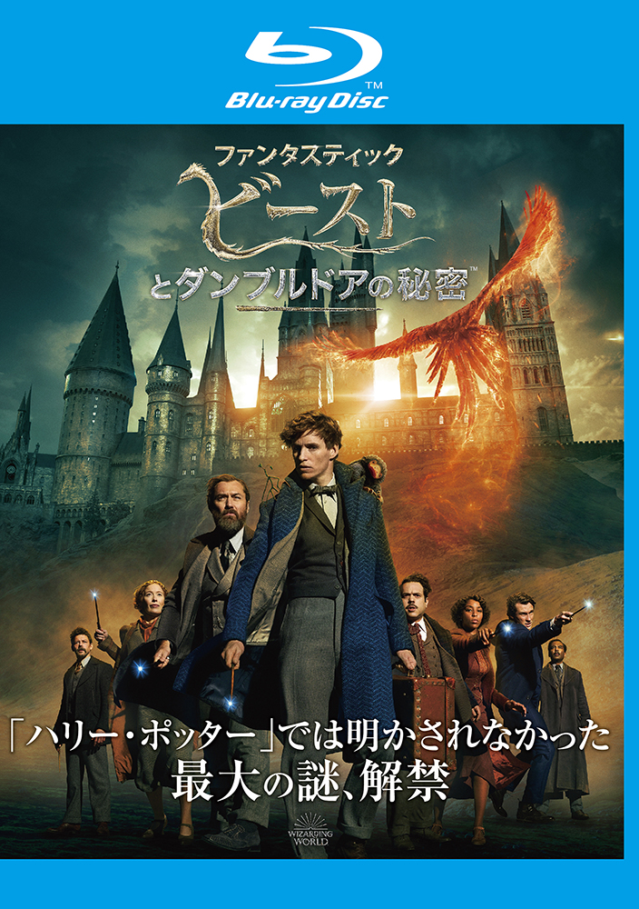 ハリーポッター DVD  全巻 と ファンタスティック・ビースト Amazon.co.jp: ハリーポッター ファンタスティック・ビースト