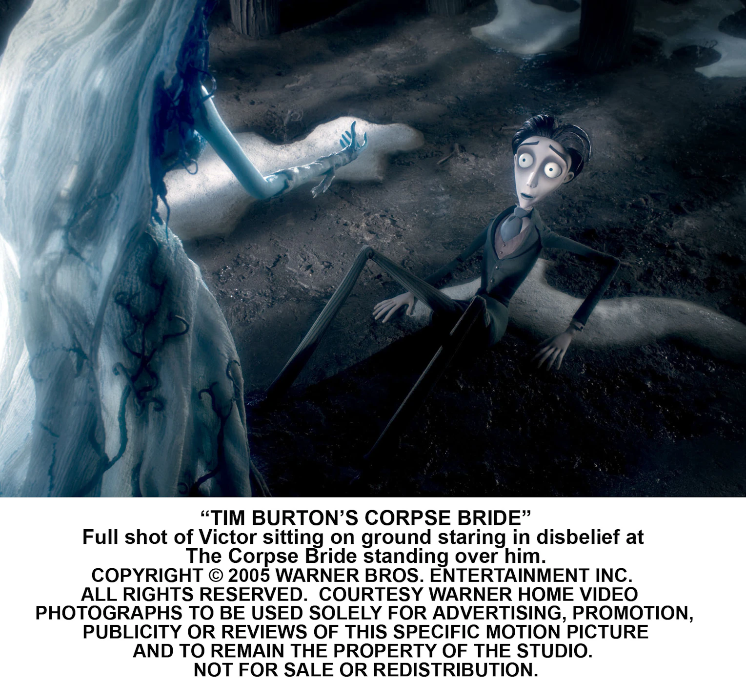 ティム・バートンのコープスブライド　ギャラリー