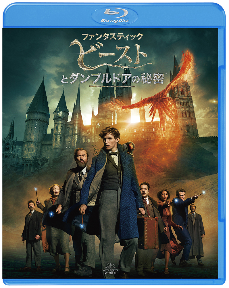 ハリーポッター　ファンタスティックビースト　DVD Amazon.co.jp: ファンタスティック ・ビーストと黒い魔法使いの