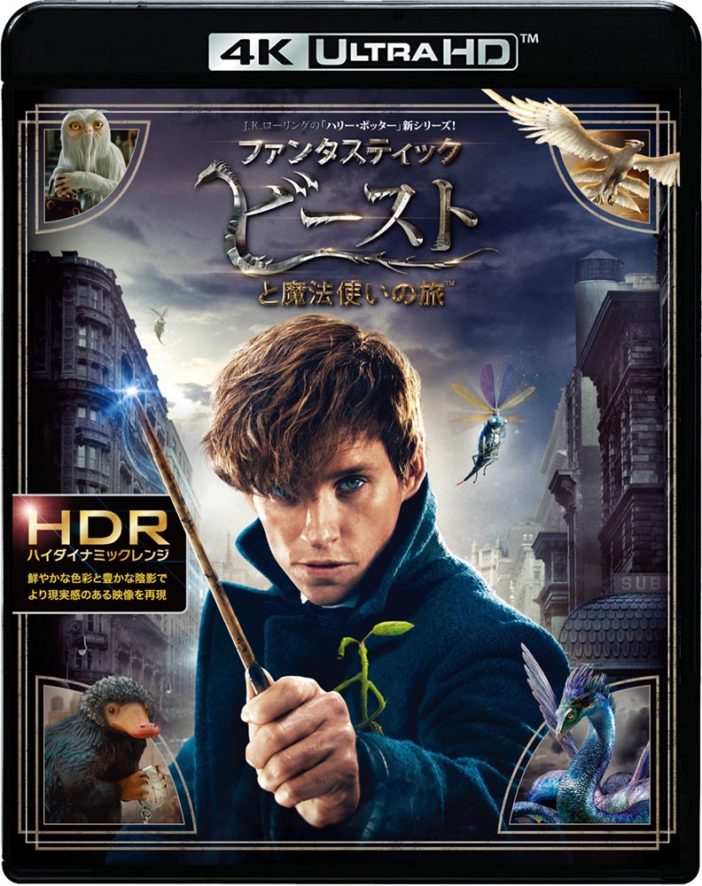 ファンタスティック・ビーストと魔法使いの旅('16英/米) ファンタスティック・ビーストと魔法使いの旅('16英/米) 洋画