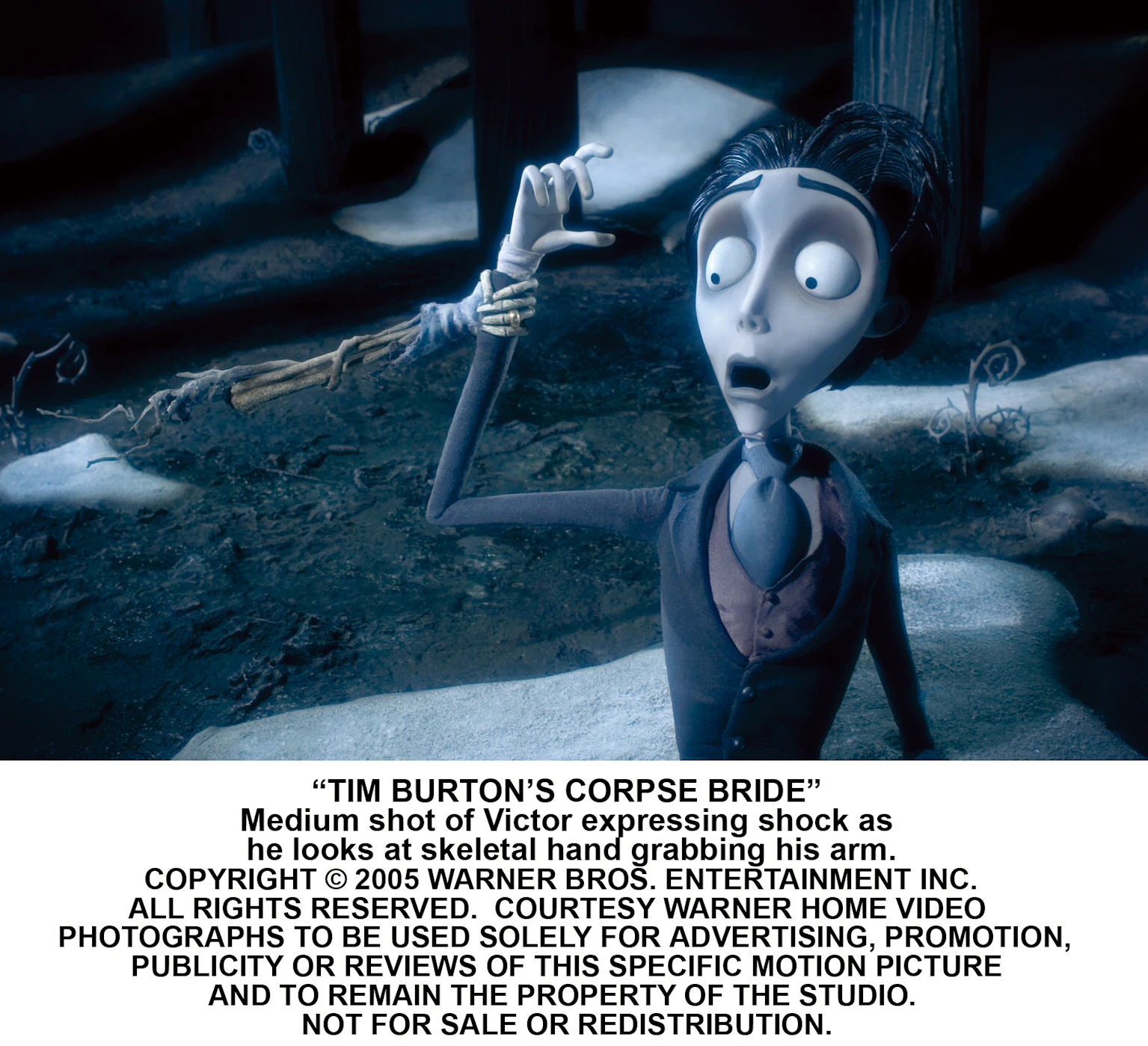 ティム・バートンのコープスブライド　ギャラリー