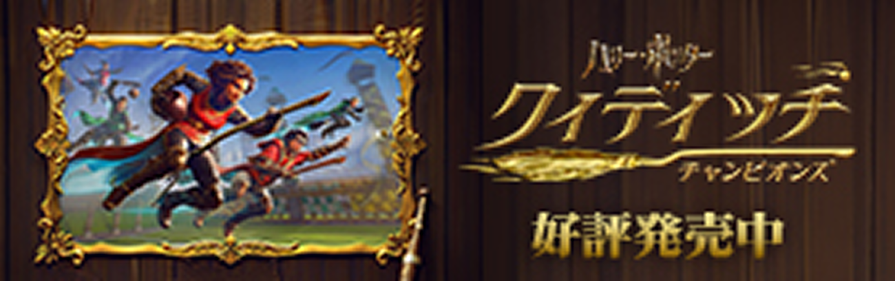 ハリー・ポッター クィディッチ・チャンピオンズ