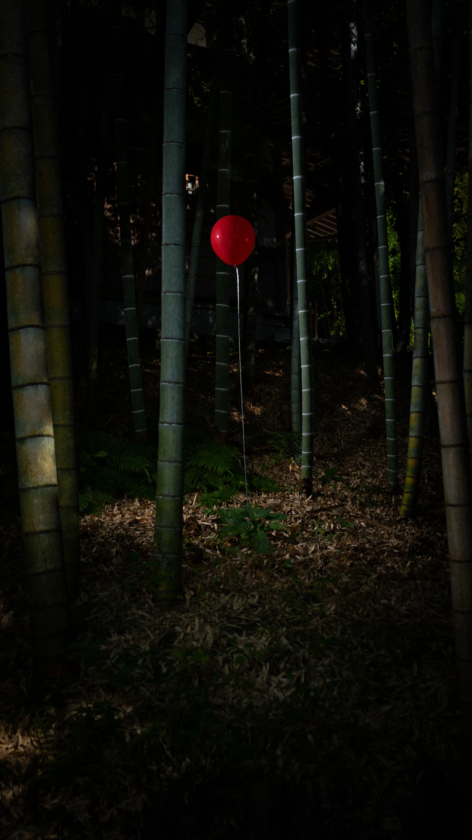 「IT/イット ウェルカム・トゥ・デリー "それ"が見えたら、終わり。」赤い風船