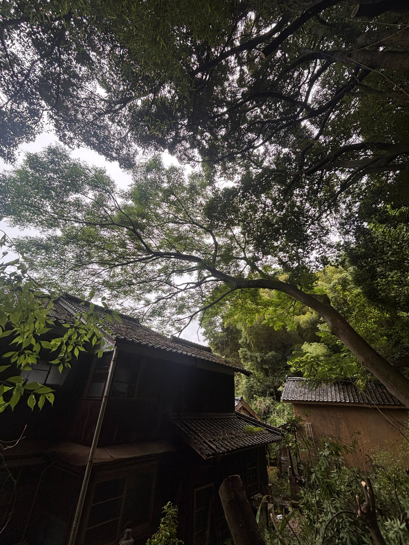 施工前