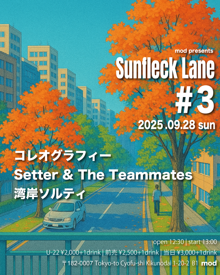 mod presents 「”Sunfleck Lane” #3」＠柴崎mod