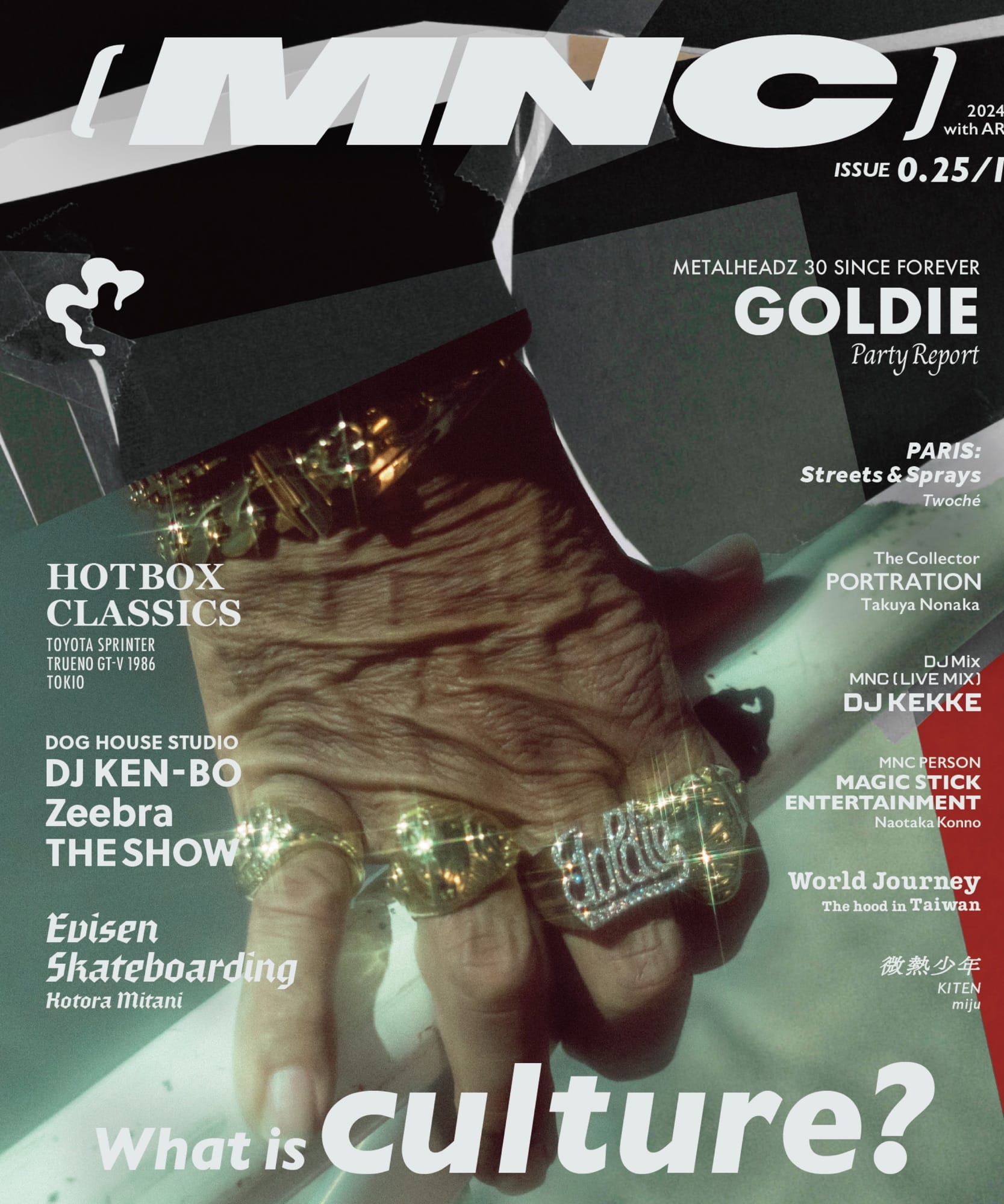 Issue 0.25