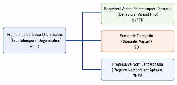 Diagram showing the clinical classification of Frontotemporal Lobar Degeneration (FTLD), which branches into three types: Behavioral Variant Frontotemporal Dementia (bvFTD), Semantic Dementia (SD), and Progressive Nonfluent Aphasia (PNFA).