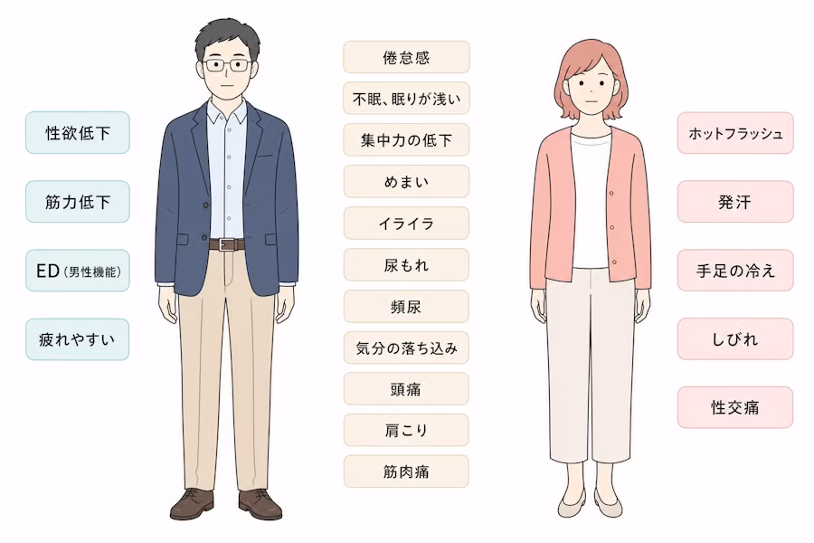 男女の更年期障害でみられる症状