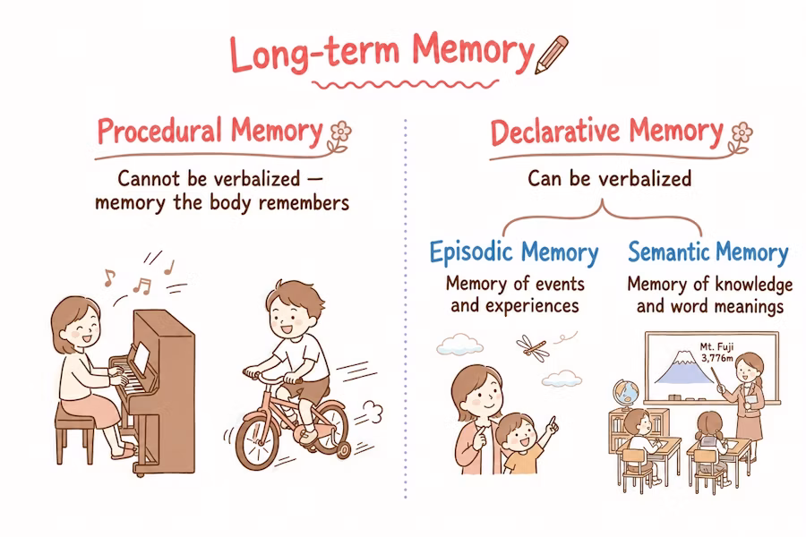 Diagram of long-term memory types: procedural memory (e.g. riding a bike or playing piano) and declarative memory (episodic and semantic memory)