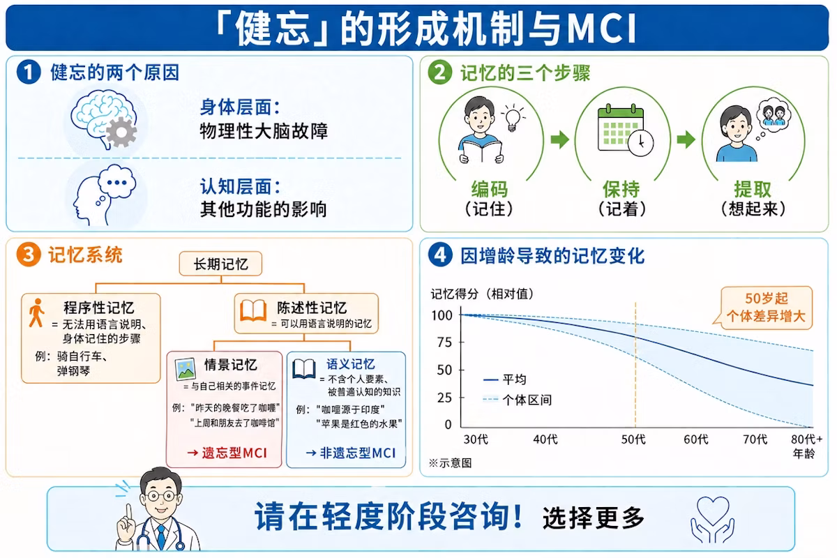 “健忘”的形成机制与MCI示意图，包含健忘的原因、记忆的三个步骤、记忆系统以及随年龄增长导致的记忆变化
