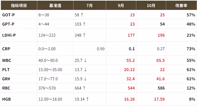 30代男性 治療目的：炎症・肝機能・代謝・血液の複合的な改善