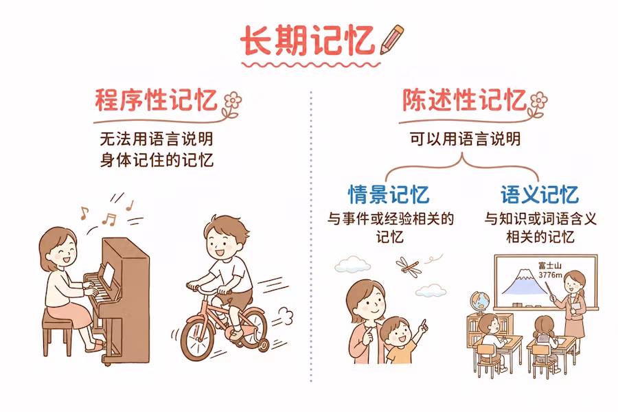 长期记忆种类示意图：程序性记忆（如骑自行车、弹钢琴等身体记住的记忆）与陈述性记忆（情景记忆与语义记忆）的分类