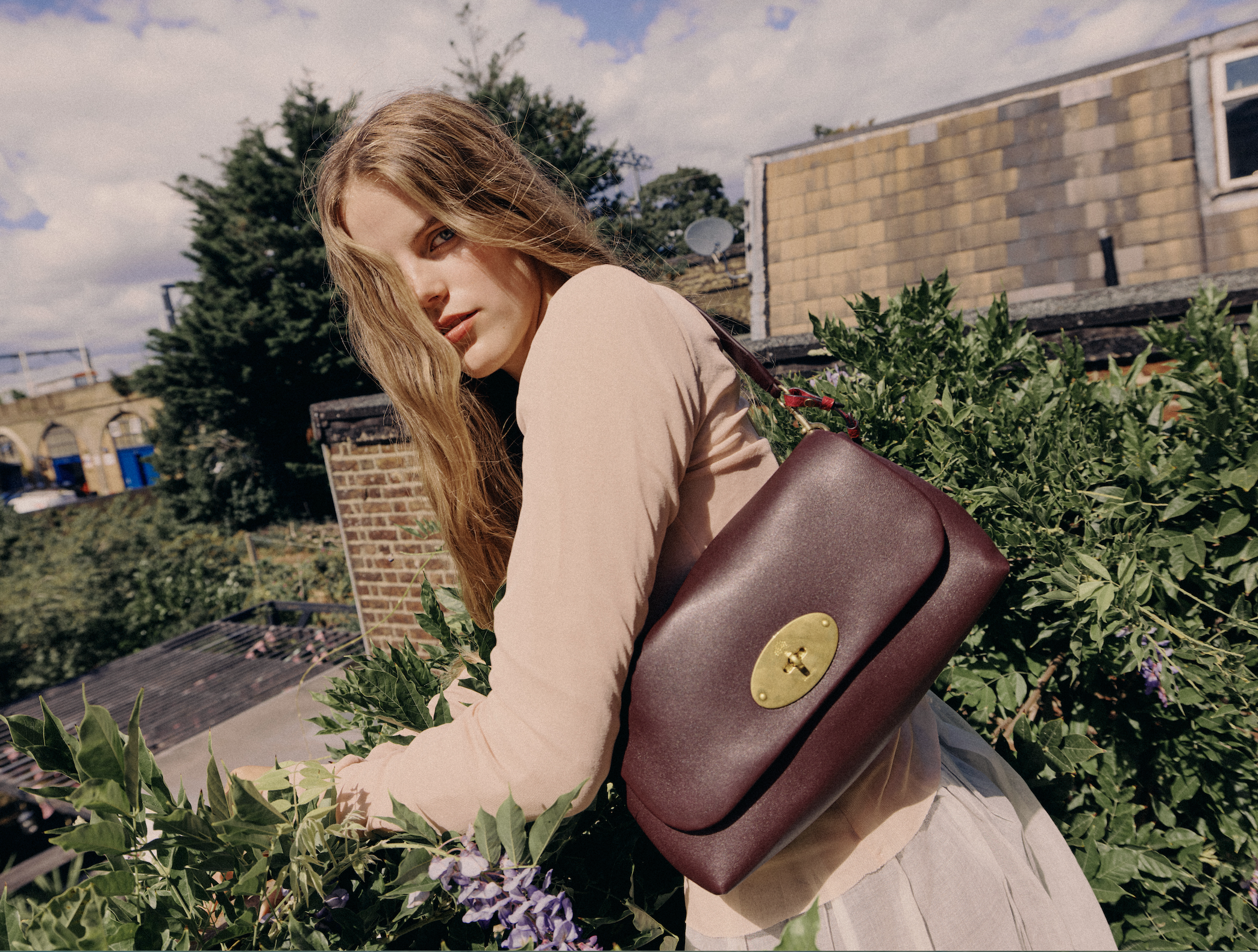 Mulberry 