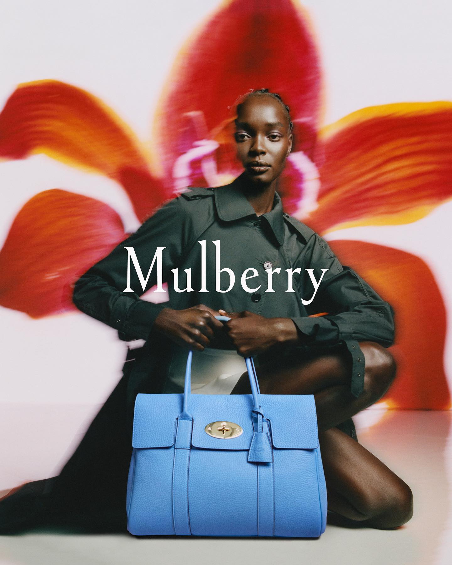 Mulberry Campaign