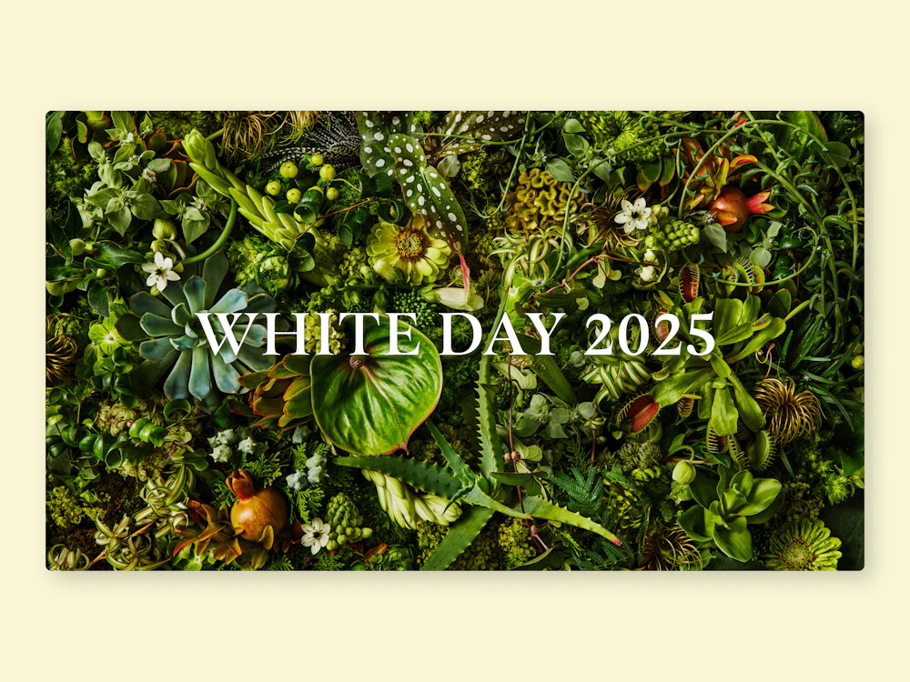 phpj2024