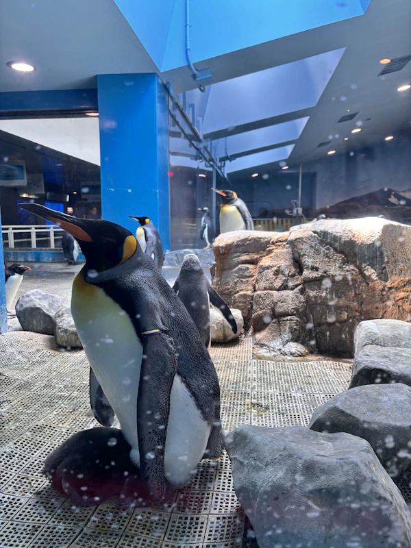 ペンギン水族館