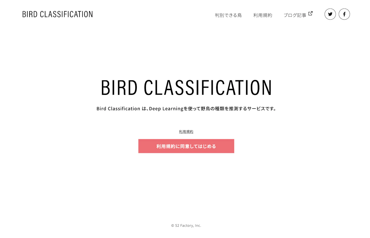 Bird Classification