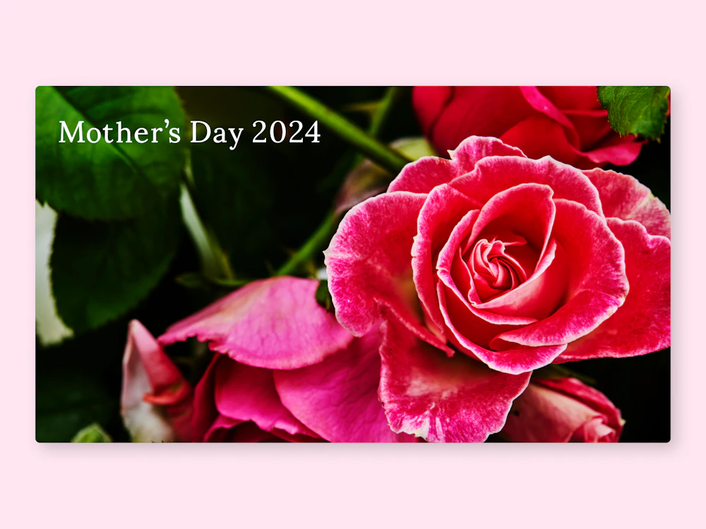 phpj2024