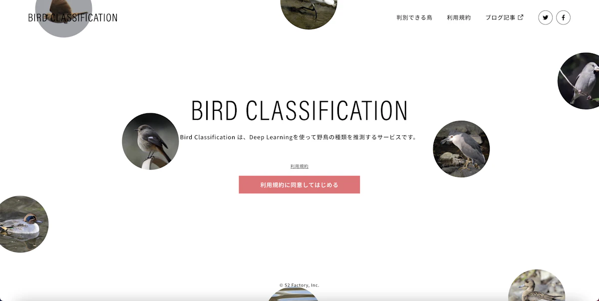【デモページ公開】Bird Classificationアイキャッチ