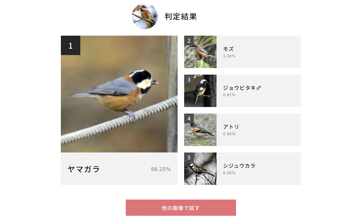 モデルとデータを見直して、Bird Classification の精度を改善した話アイキャッチ