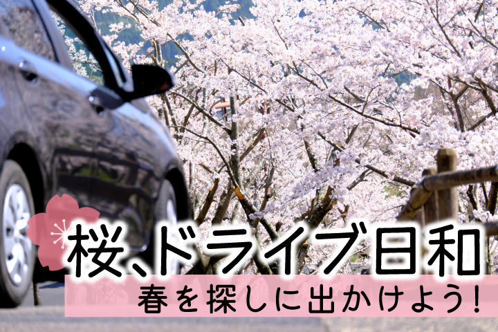 春だけに出会える、日本の美しい桜景色をまとめて紹介