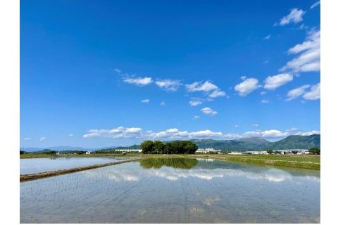 田園風景
