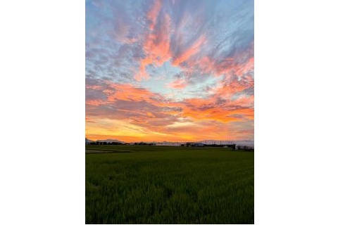 田園風景　夕焼け