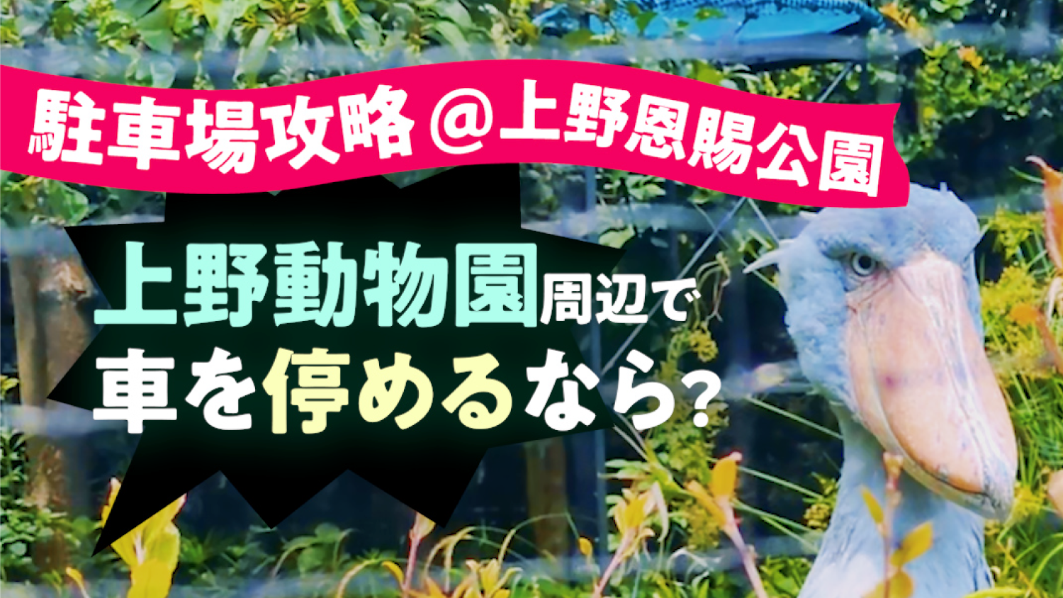 【駐車場ガイド@上野動物園・上野公園】おすすめ4カ所と空き状況の調べ方