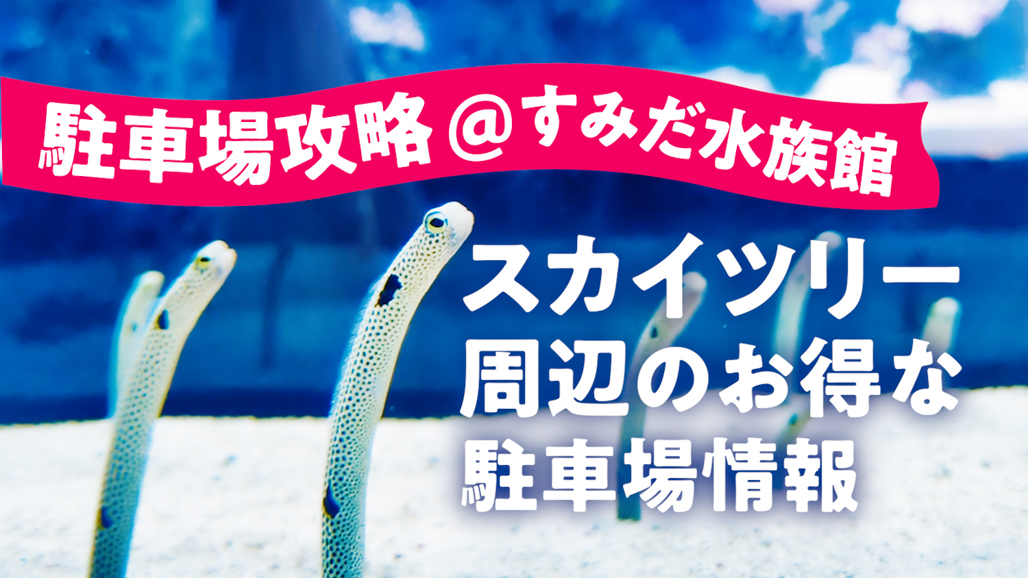 スカイツリーの駐車場、ソラマチ以外の選択肢。隅田公園周辺が狙い目!