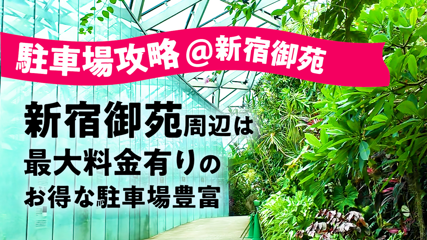 新宿御苑の駐車場は「最大料金あり」で選べば怖くない。公式駐車場は入園者1日2,900円・四谷のコインPなら日祝1,200円〜