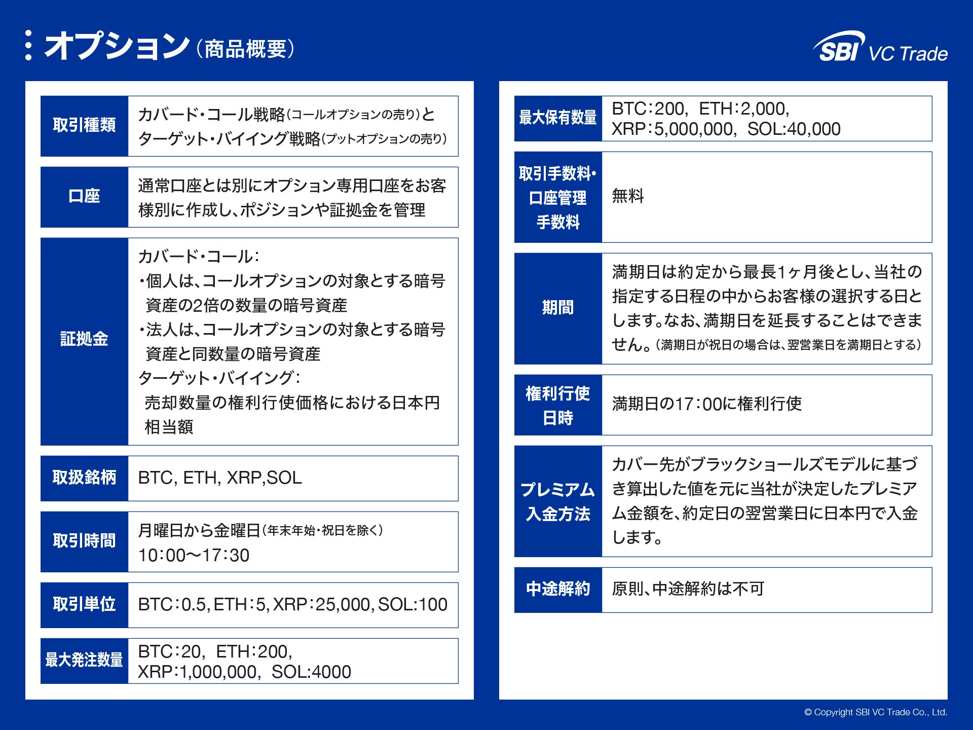オプション（商品概要）
