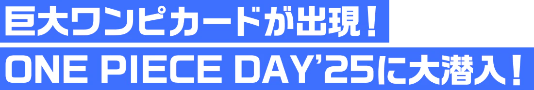 巨大ワンピカードが出現！ONE PIECE DAY’25に大潜入！