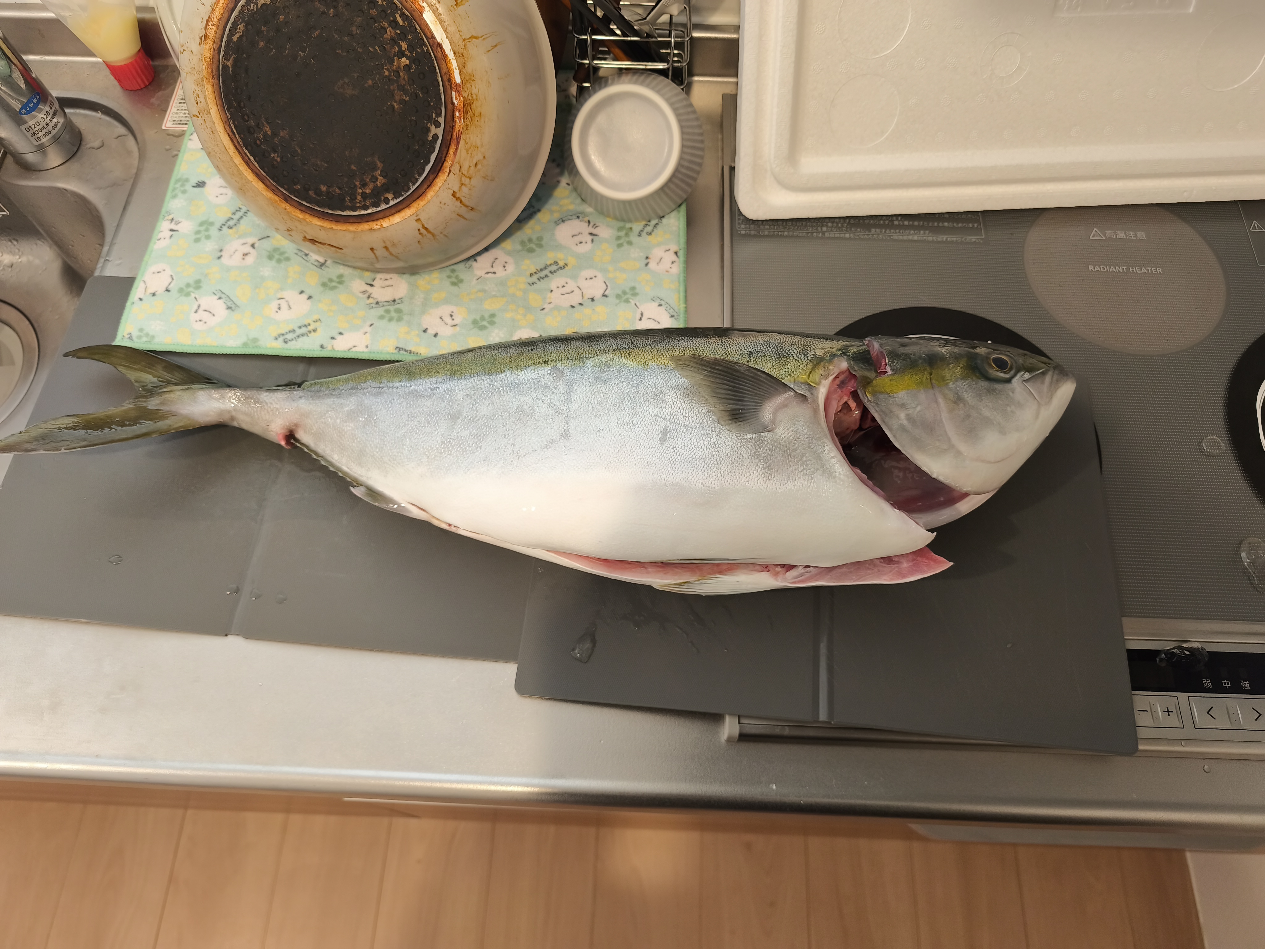 ふるさと納税でぶり1尾届いたから捌いていく