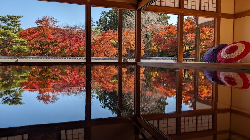 「映え」と「癒し」の両方を叶える紅葉スポット
