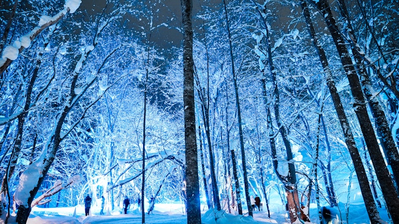 光と雪がつくる、冬の物語と出会う旅
